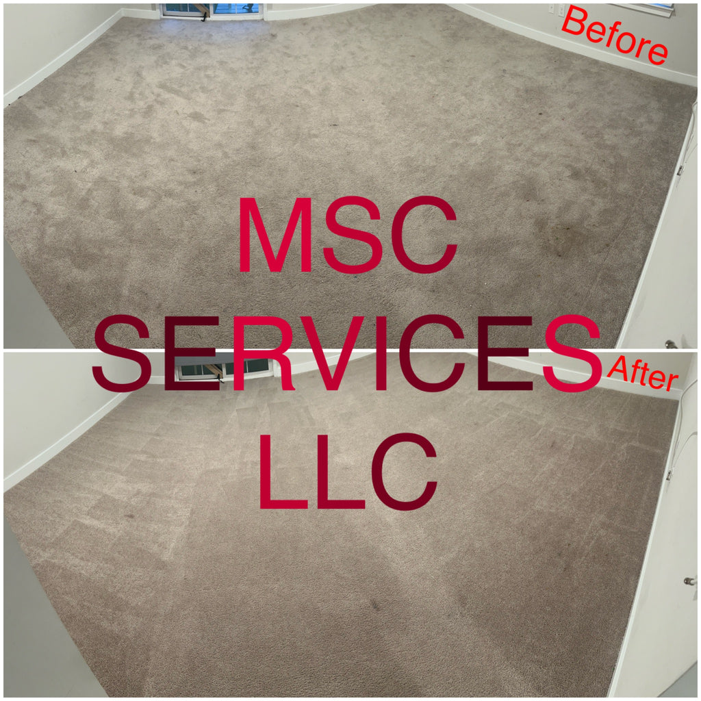 Carpet Extraction/Preventive Maintenance